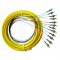 OM2 50/125 Multimode 12-Fiber Distribution Fiber Optic Pigtail