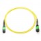 24 Fiber MTP / MPO OS1 9/125 Singlemode Fiber Optic Patch Cable