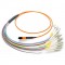 12 Fiber MTP / MPO OM1 62.5/125 Multimode Fiber Optic Patch Cable