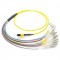 12 Fiber MTP / MPO OS1 9/125 Singlemode Fiber Optic Patch Cable